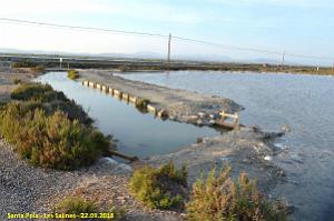33 SANTA POLA LES SALINES (31)